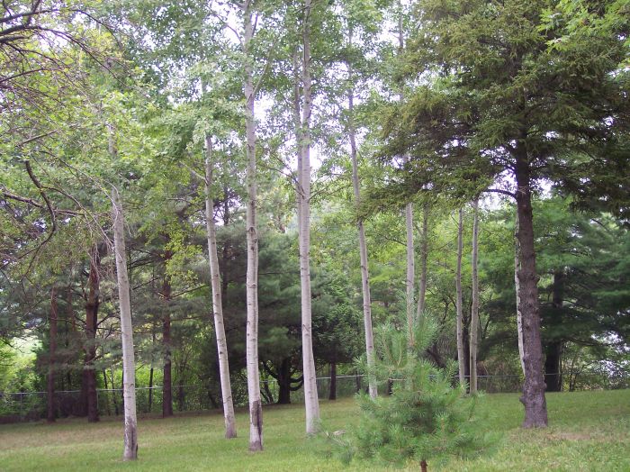 This image has been resized