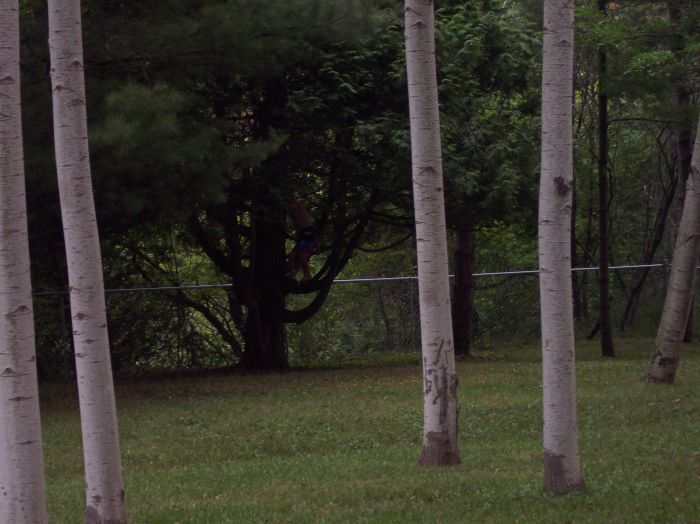 This image has been resized