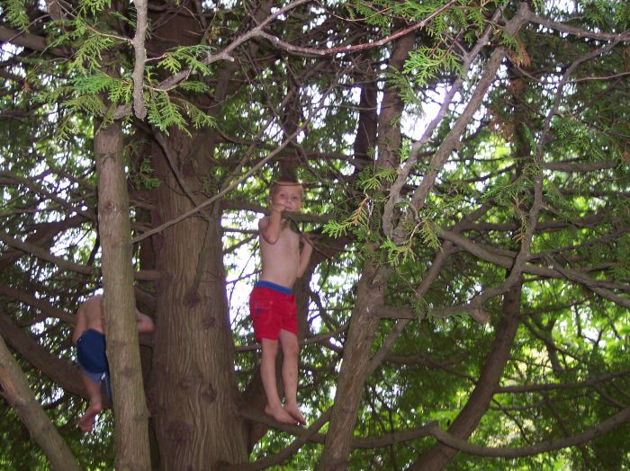 This image has been resized