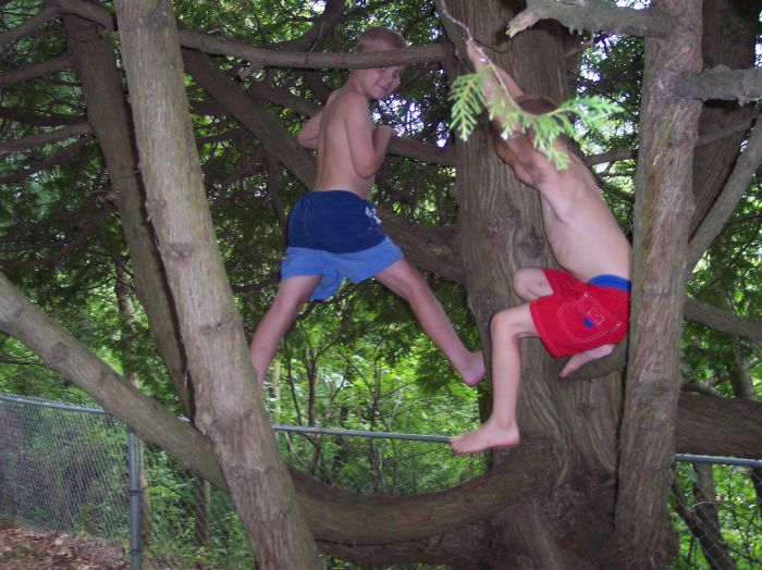 This image has been resized