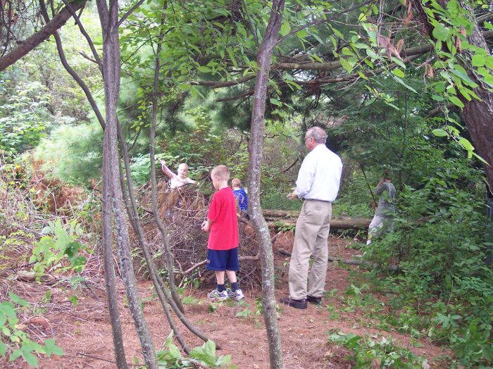 This image has been resized