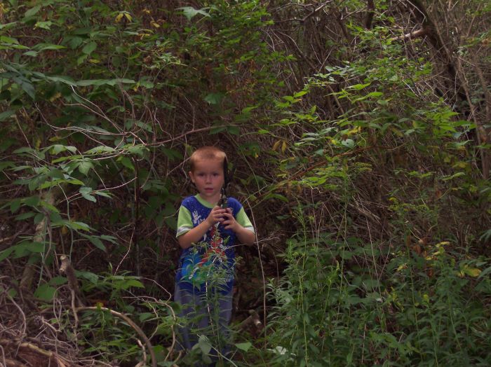 This image has been resized