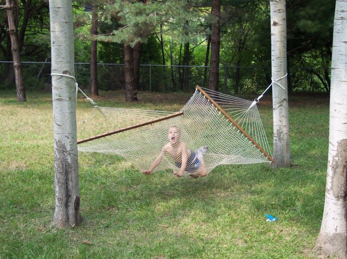 This image has been resized