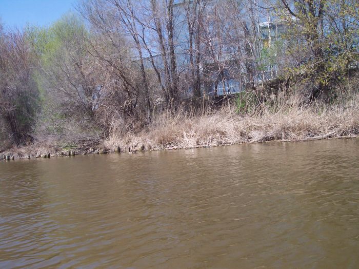 This image has been resized