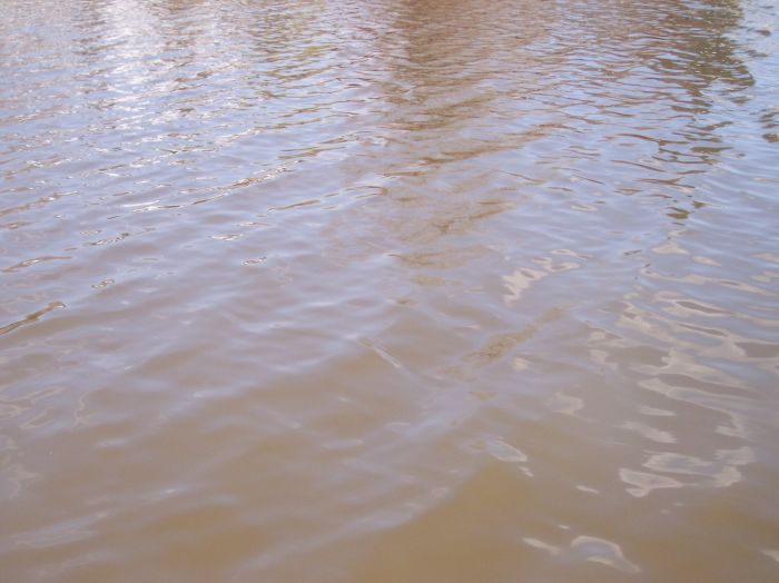 This image has been resized