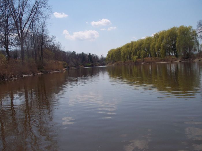 This image has been resized