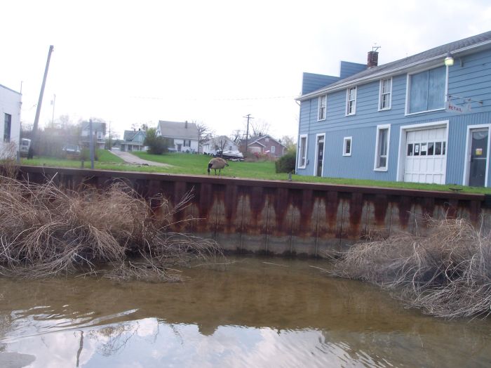 This image has been resized