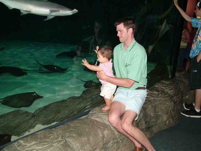 This image has been resized