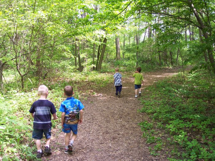 This image has been resized