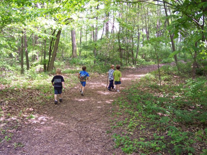 This image has been resized