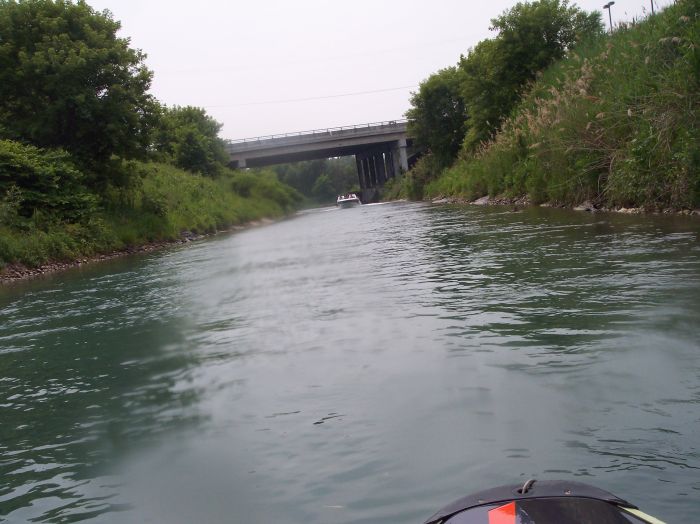 This image has been resized