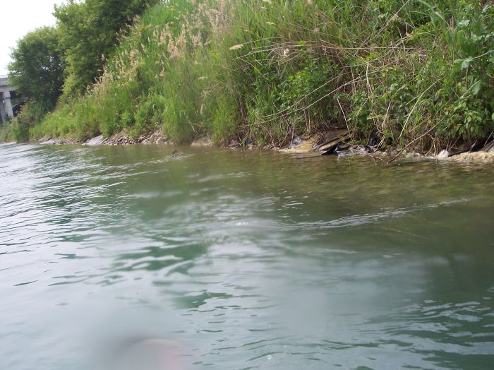 This image has been resized