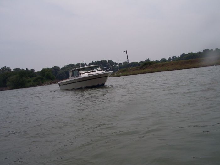 This image has been resized