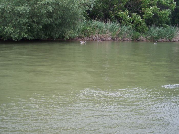 This image has been resized