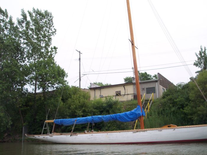 This image has been resized