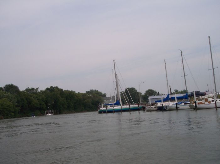 This image has been resized