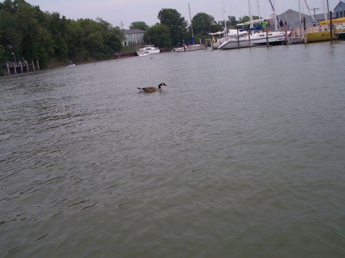 This image has been resized