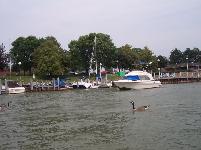 This image has been resized