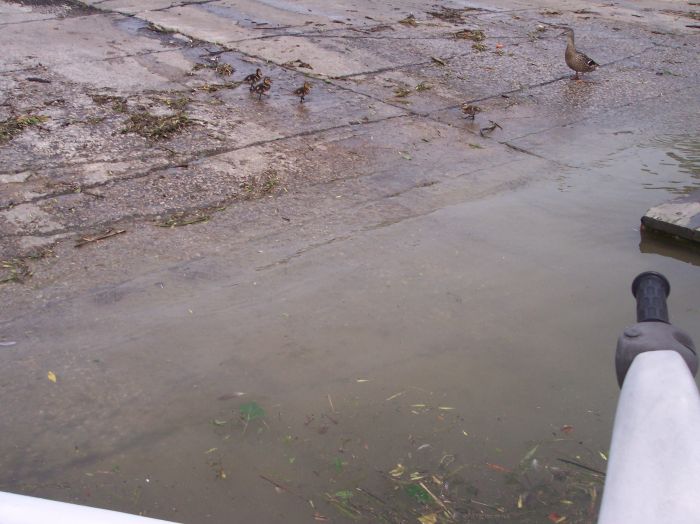 This image has been resized